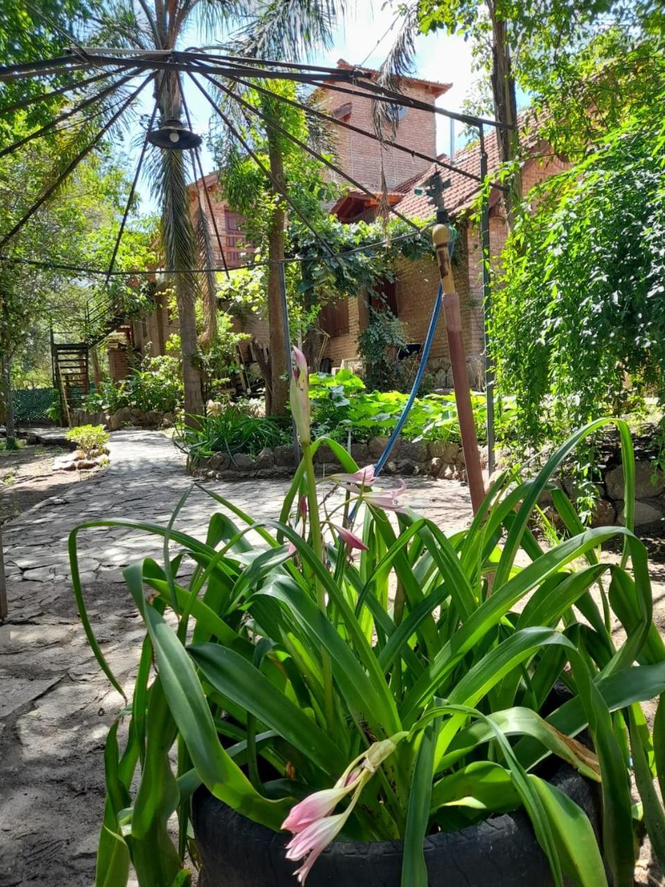 Lodge Complejo De Del águila