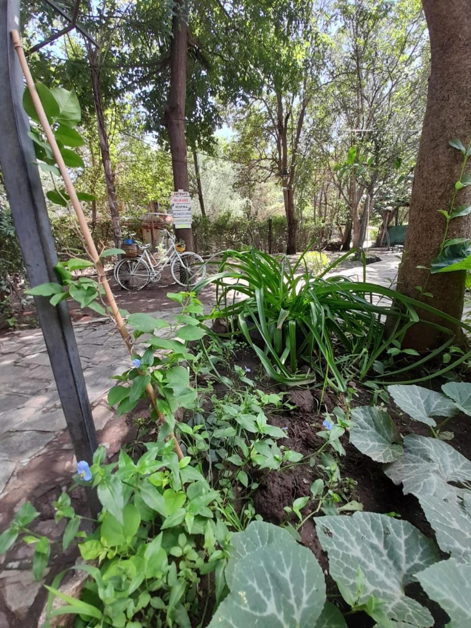 Complejo De Del águila Lodge *