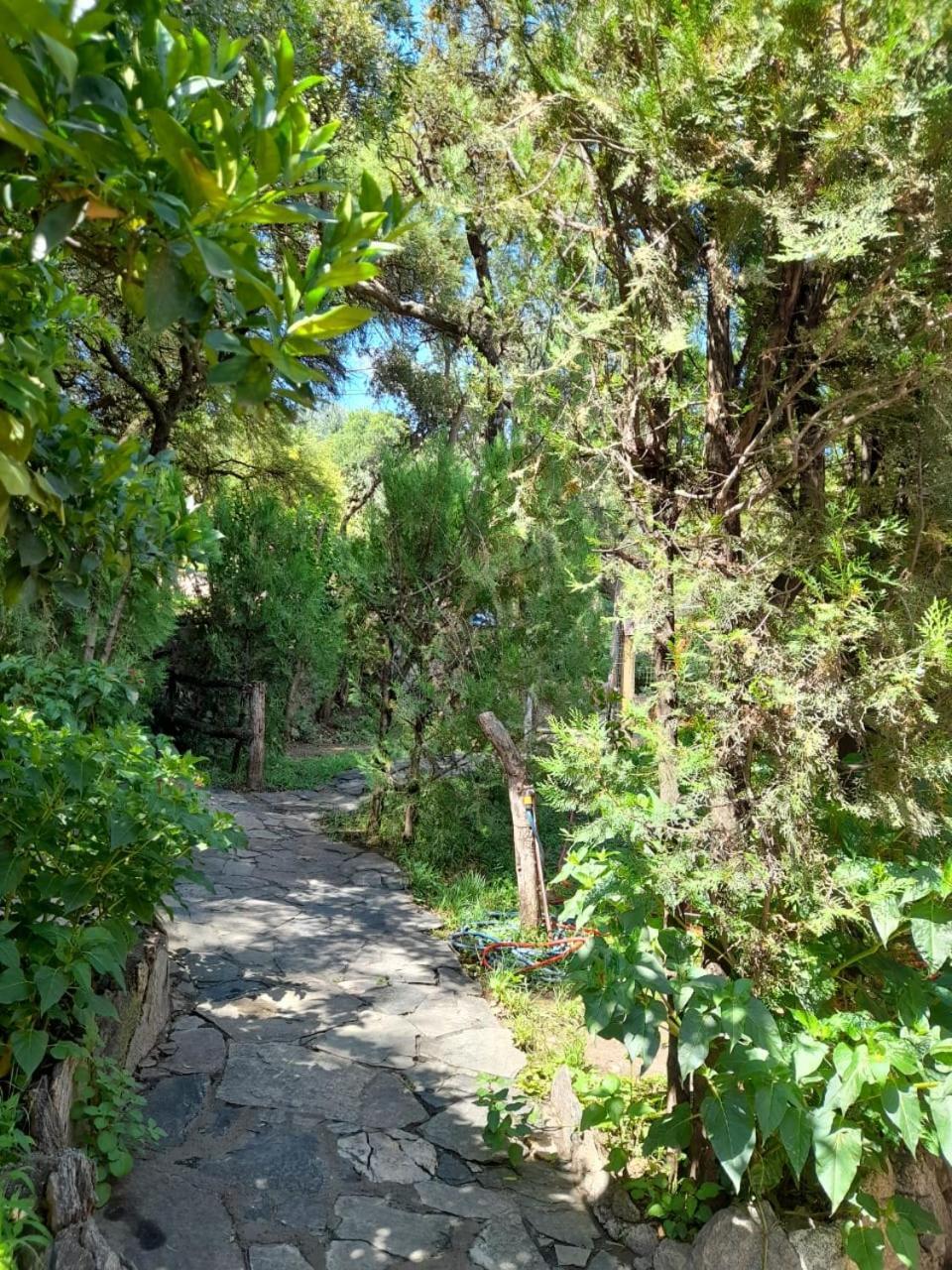 Complejo De Del águila Lodge *