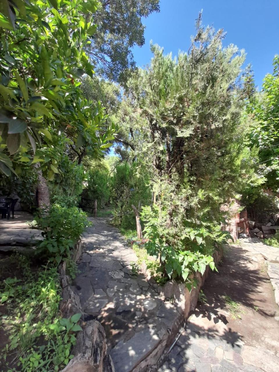 Complejo De Del águila Lodge *