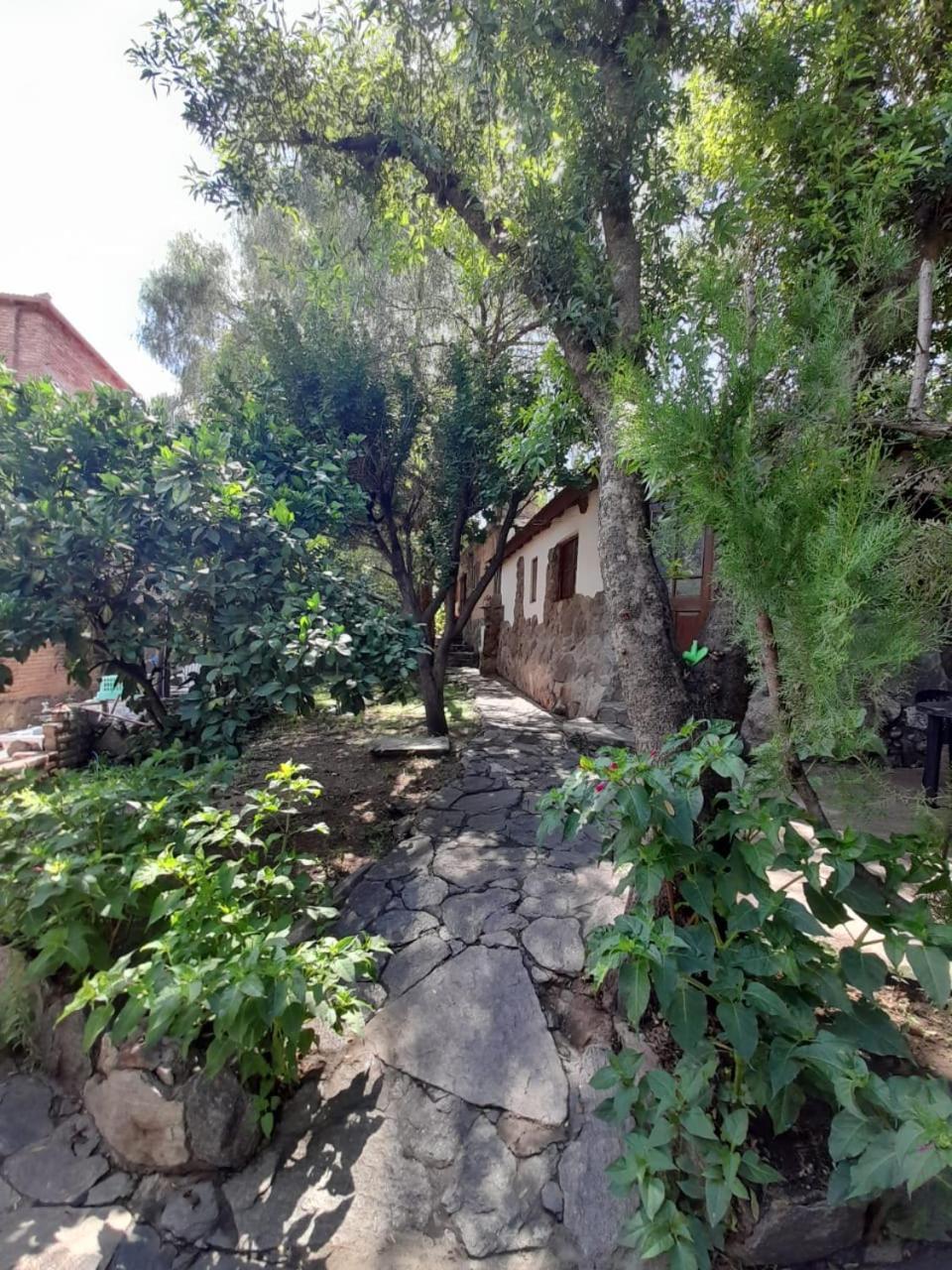 Lodge Complejo De Del águila