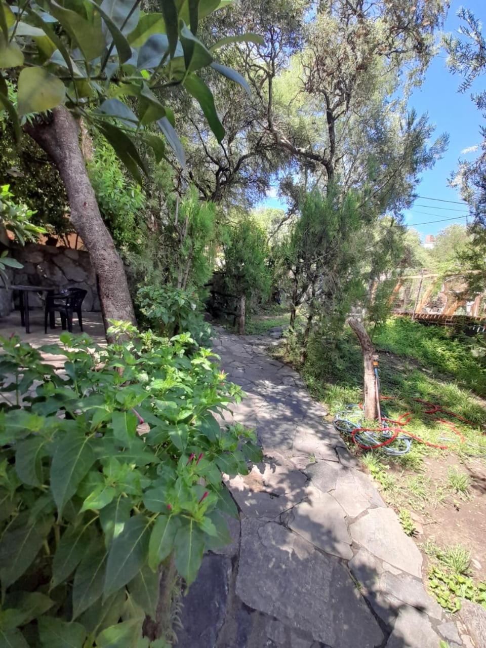 Complejo De Del águila Lodge