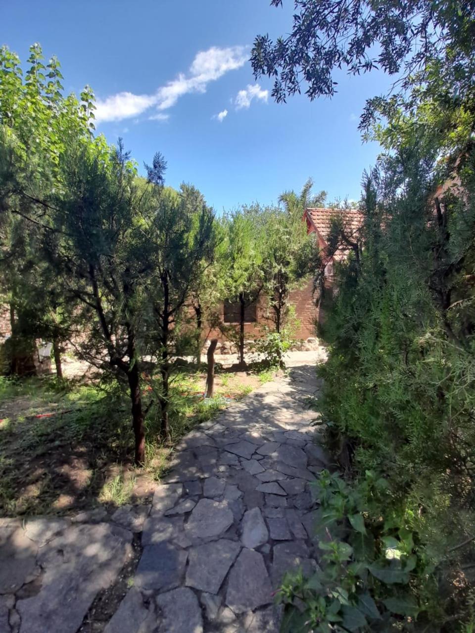 Complejo De Del águila Lodge *
