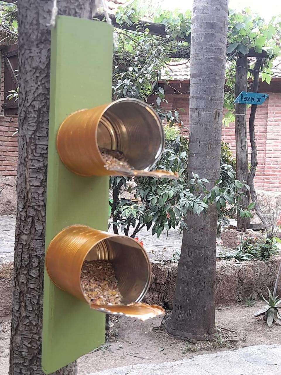 Complejo De Del águila Lodge