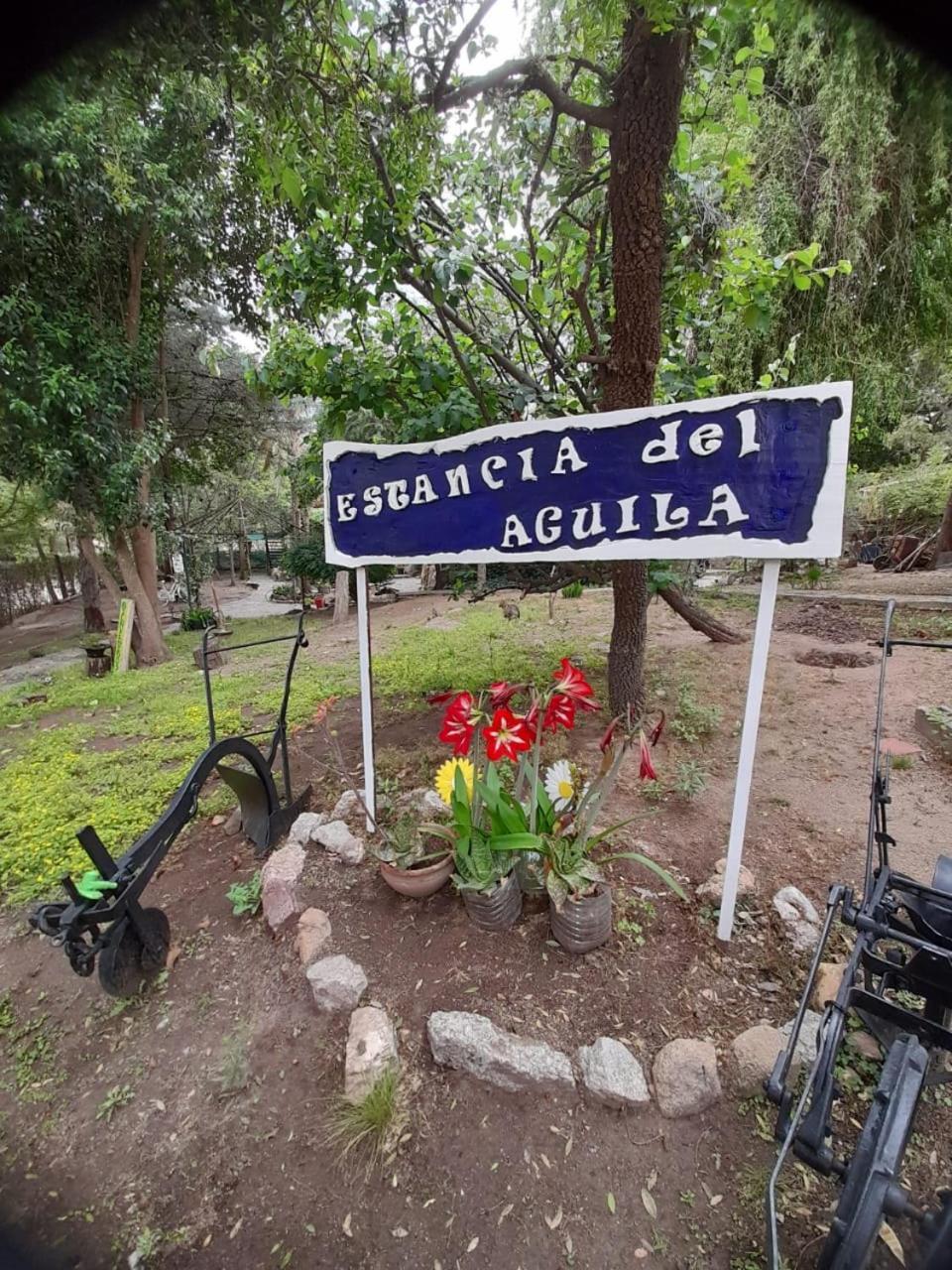 Complejo De Del águila * Mina Clavero