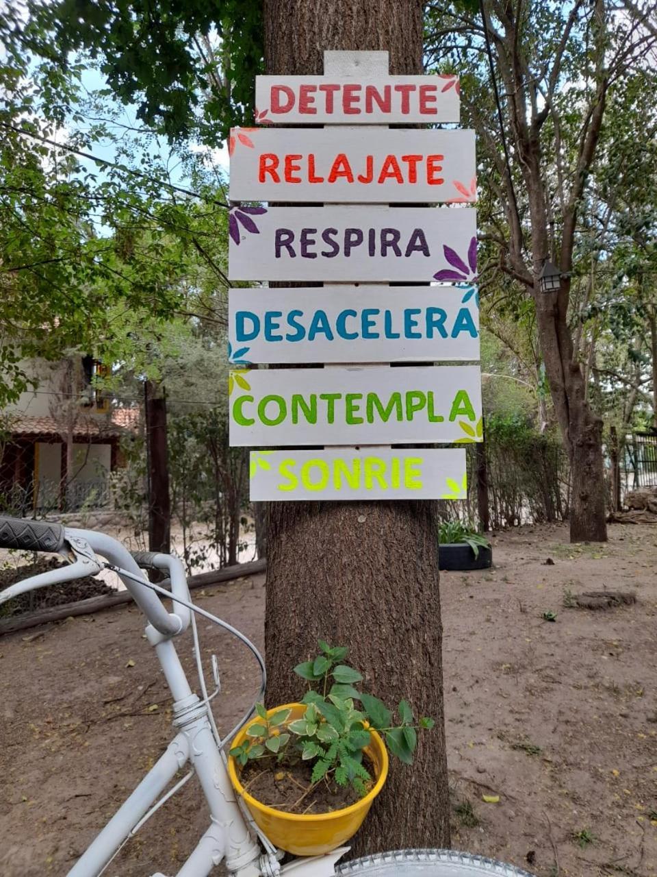 Complejo De Del águila Lodge *