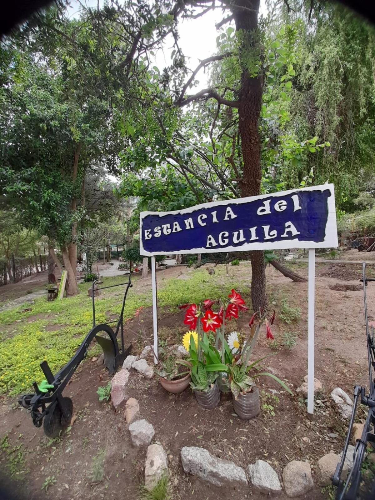 Complejo De Del águila
